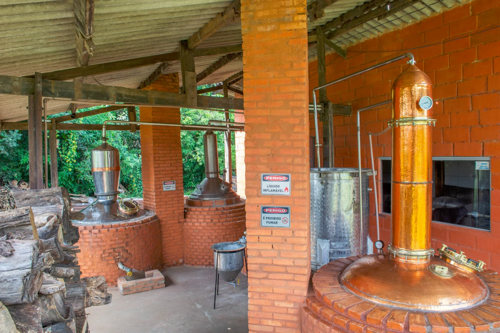sapucaia