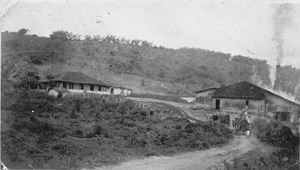 historia da cachaça