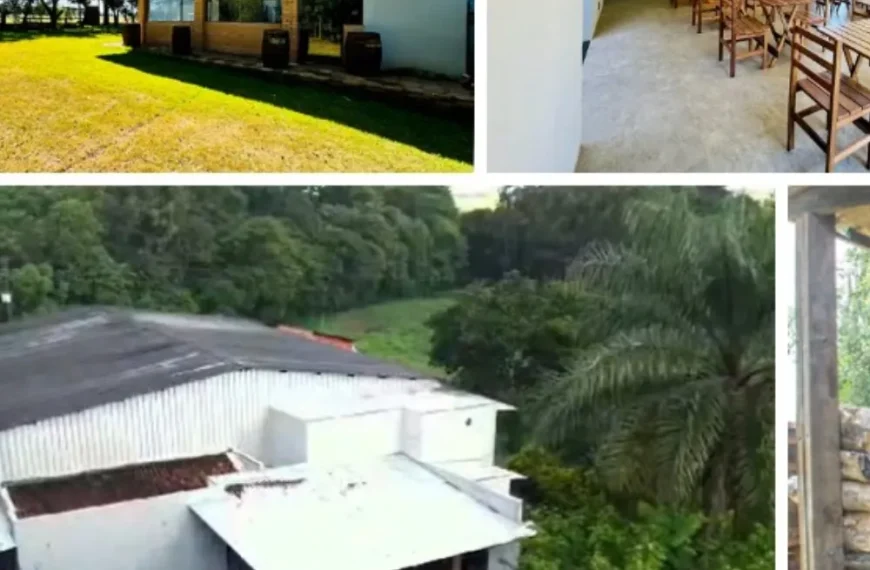 alambiques em Pirassununga